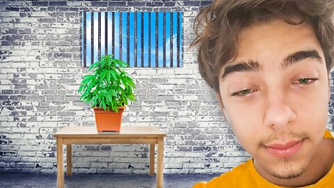 How To Escape The Loser Mindset 