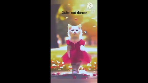 cat dance#video#sorts