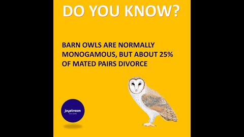 #21 Joyful Facts about birds and animals | Do you know? | Joy Stream