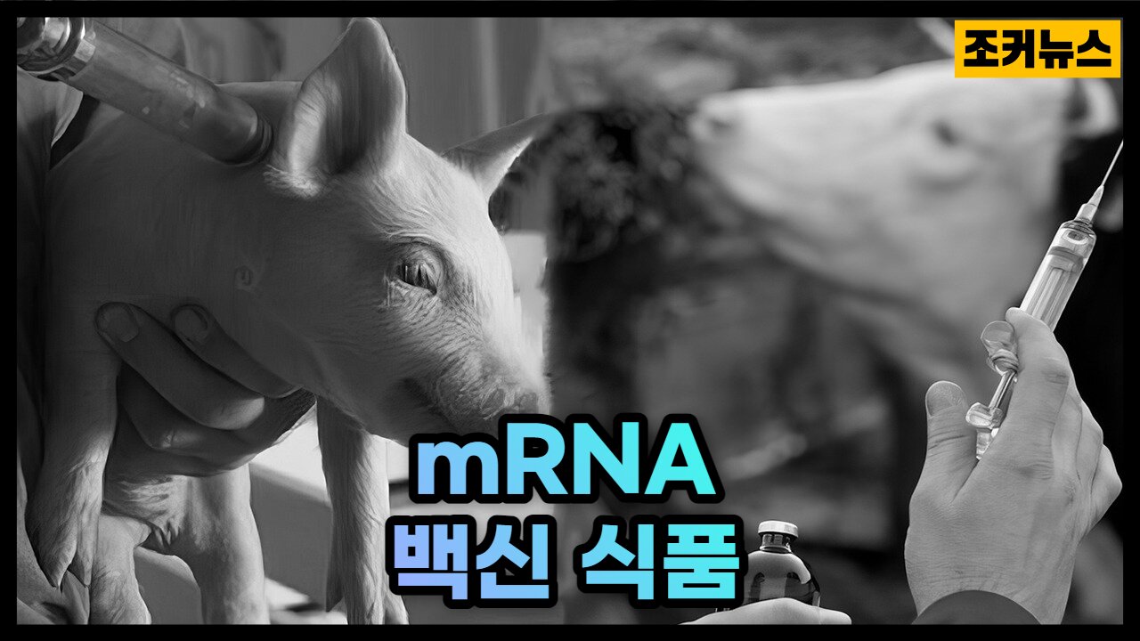 '인구감축용 mRNA 백신 식품' mRNA vaccine food