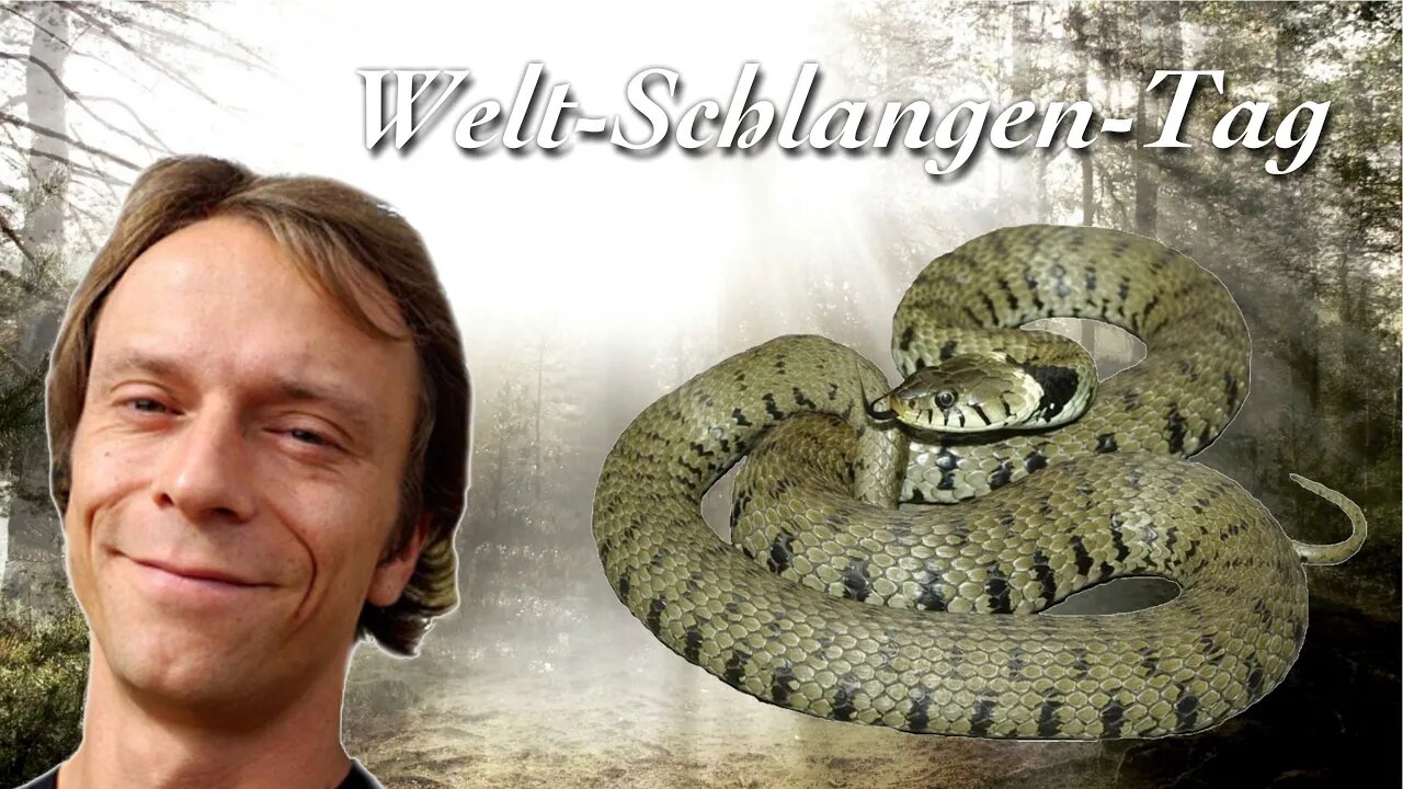 Welt-Schlangen-Tag - Dr. Sebastian Lotzkat