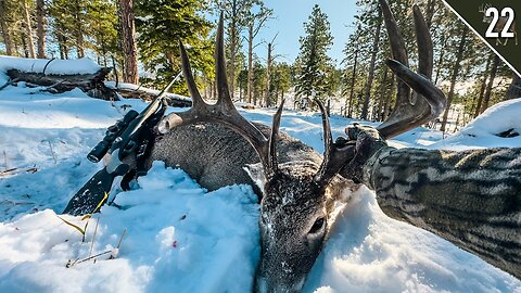 MASSIVE BIG WOODS BUCK! (Public Land Dream Hunt)