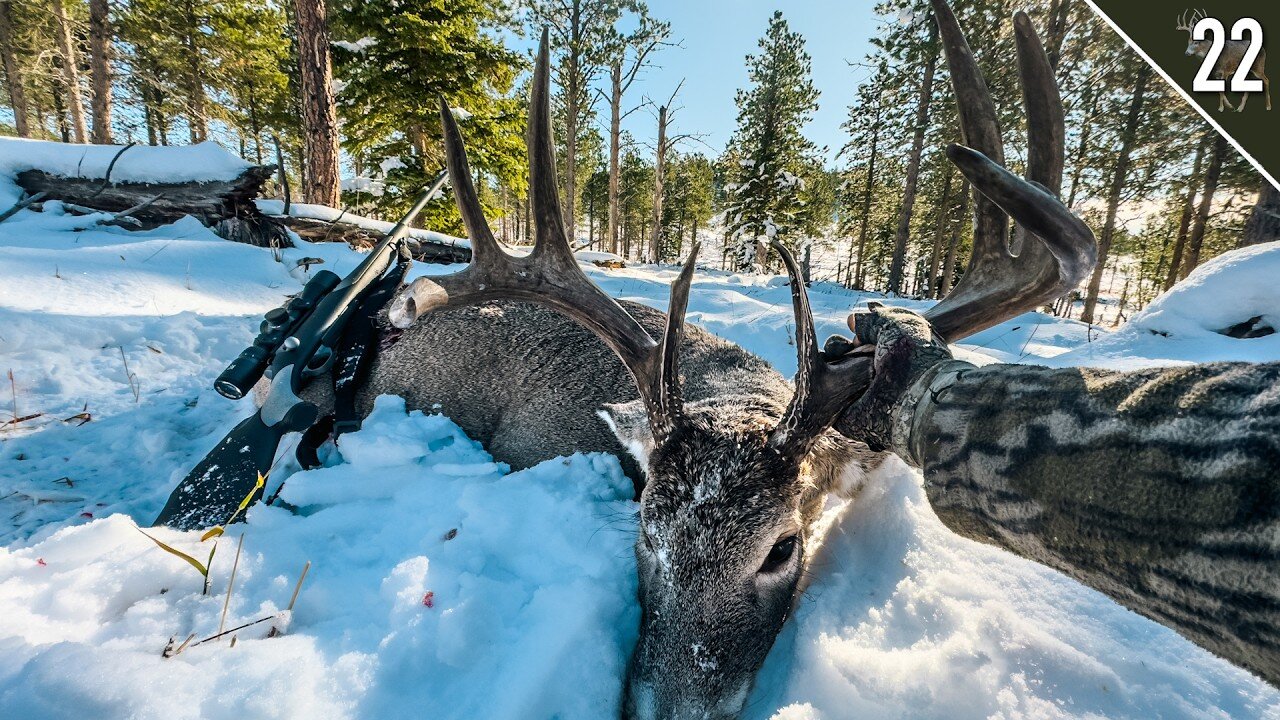 MASSIVE BIG WOODS BUCK! (Public Land Dream Hunt)