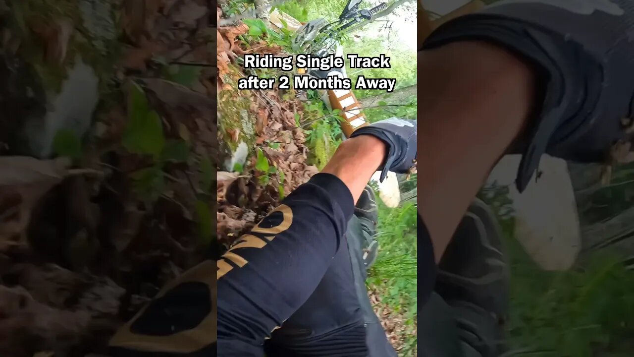Well that didnt go according to plan…. #dirtbike