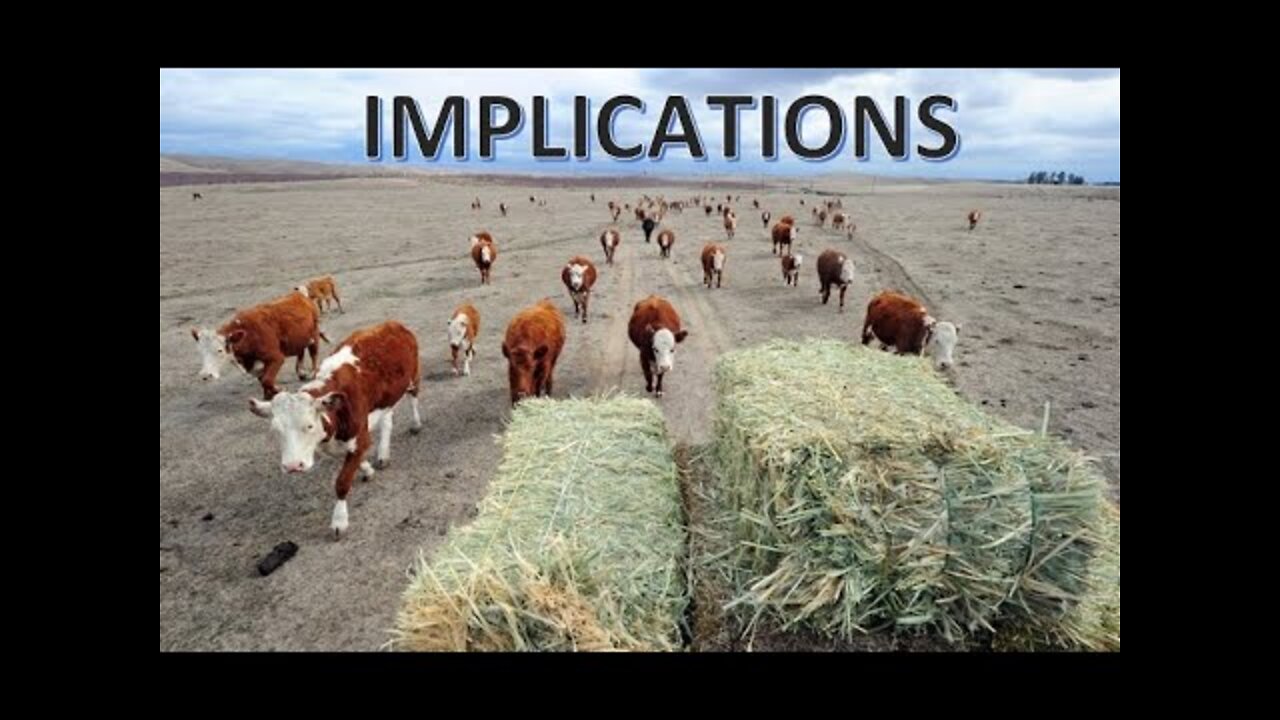 Implications in 2022 for Way You Eat and Buy (Bob Kudla FULL Interview)