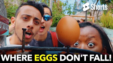 Where Eggs Don't Fall!