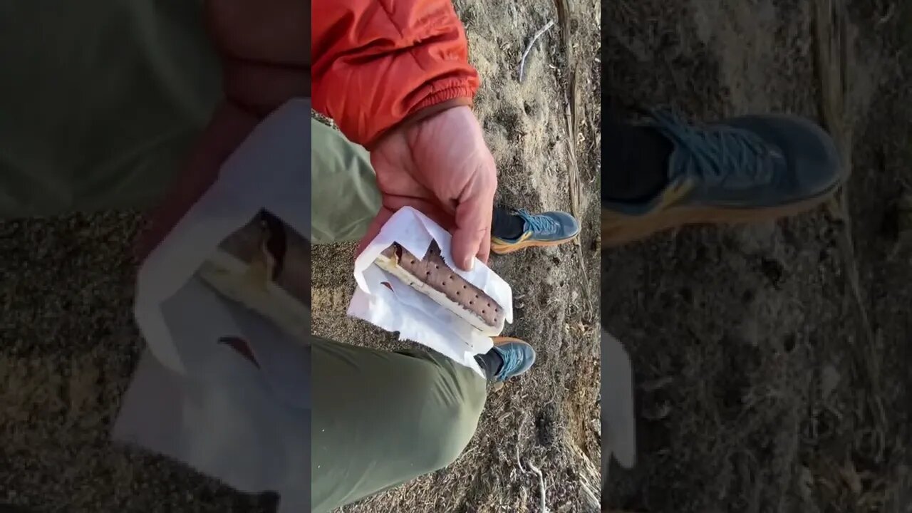 Squirrel 🐿 ice. Cream in the mountains?