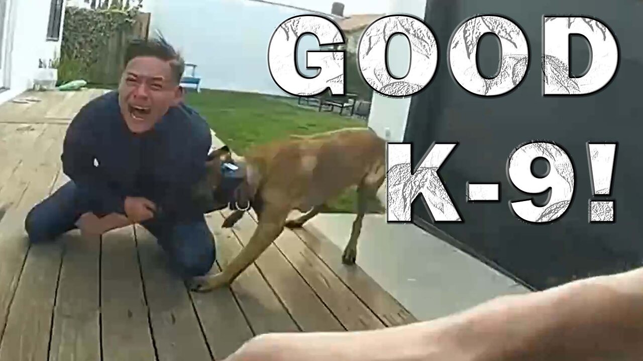 K-9 Grabs Hold Of Criminal Taking a Big Bite Out Of Crime! LEO Round Table S09E59