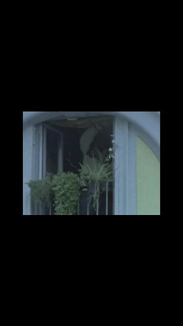 surrenderdorothy - thebestversionofmyself