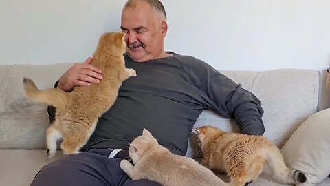 A Serious Man is attacked by Furry Cuties. 😁🥰