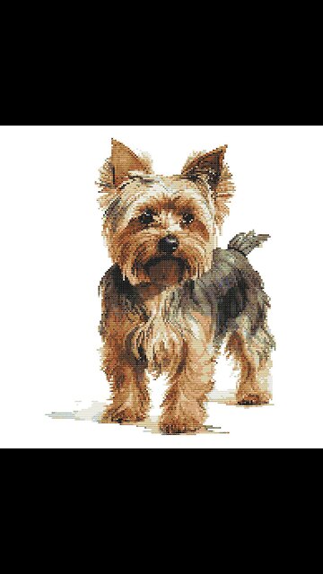 YORKSHIRE TERRIER Cross Stitch Pattern by Welovit | welovit.net | #welovit