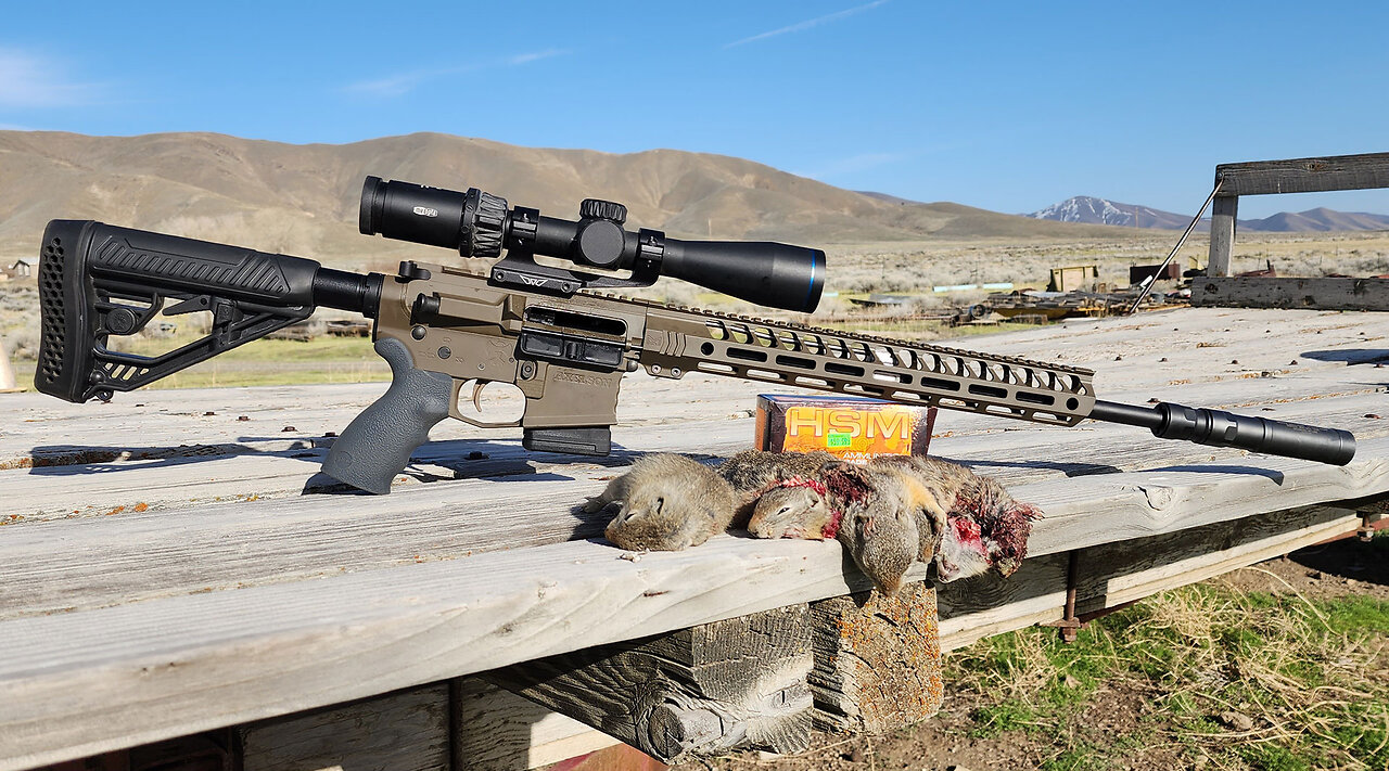 Breaking up a Ground Squirrel Party on the Farm (SHORT CLIP)