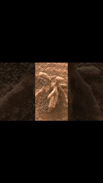 Som ET - 59 - Mars - Curiosity Sol 3397 #shorts