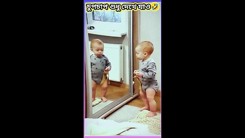 চুপচাপ শুধু দেখে যাও #tiktok #song #ytshorts #viral #babytoy #baby #orange #গান #কমেডি #funny #বেবি