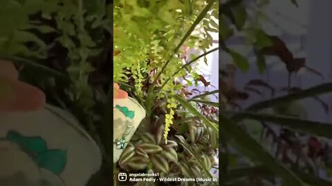 Monetizing my smart phone + voice messages. ￼ My morning routine in spurts of time.