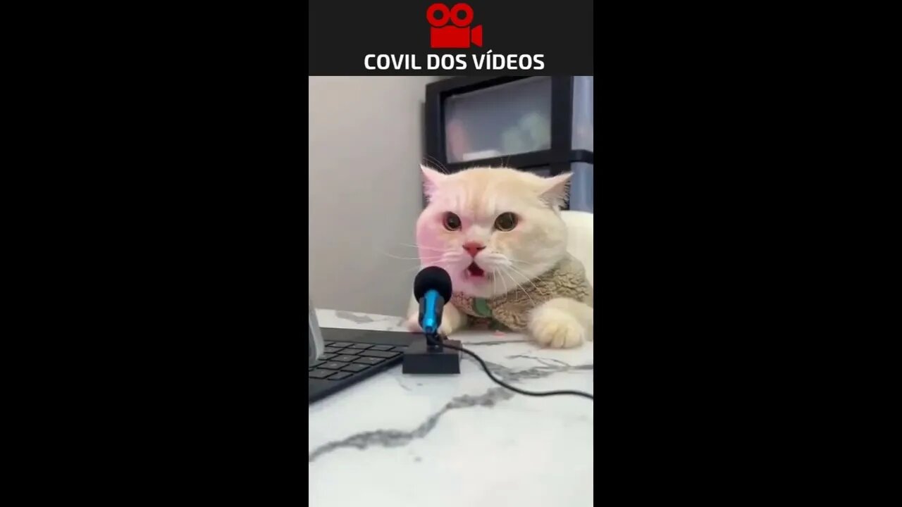 O GATO QUE QUERIA SER LOCUTOR