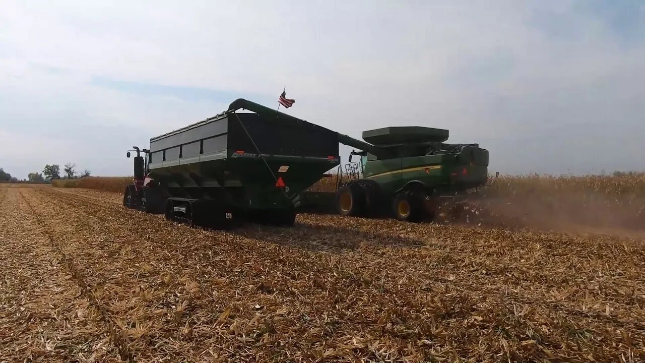 Size Matters!! Corn Harvest At Its Best!! #9