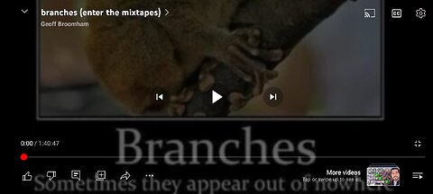 branches 1/3 (beats I made)
