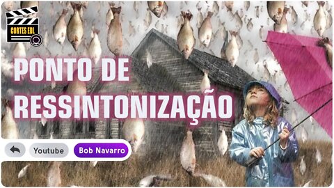 O fenômeno da Chuva de Peixes