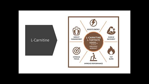 L-Carnitine Benefits