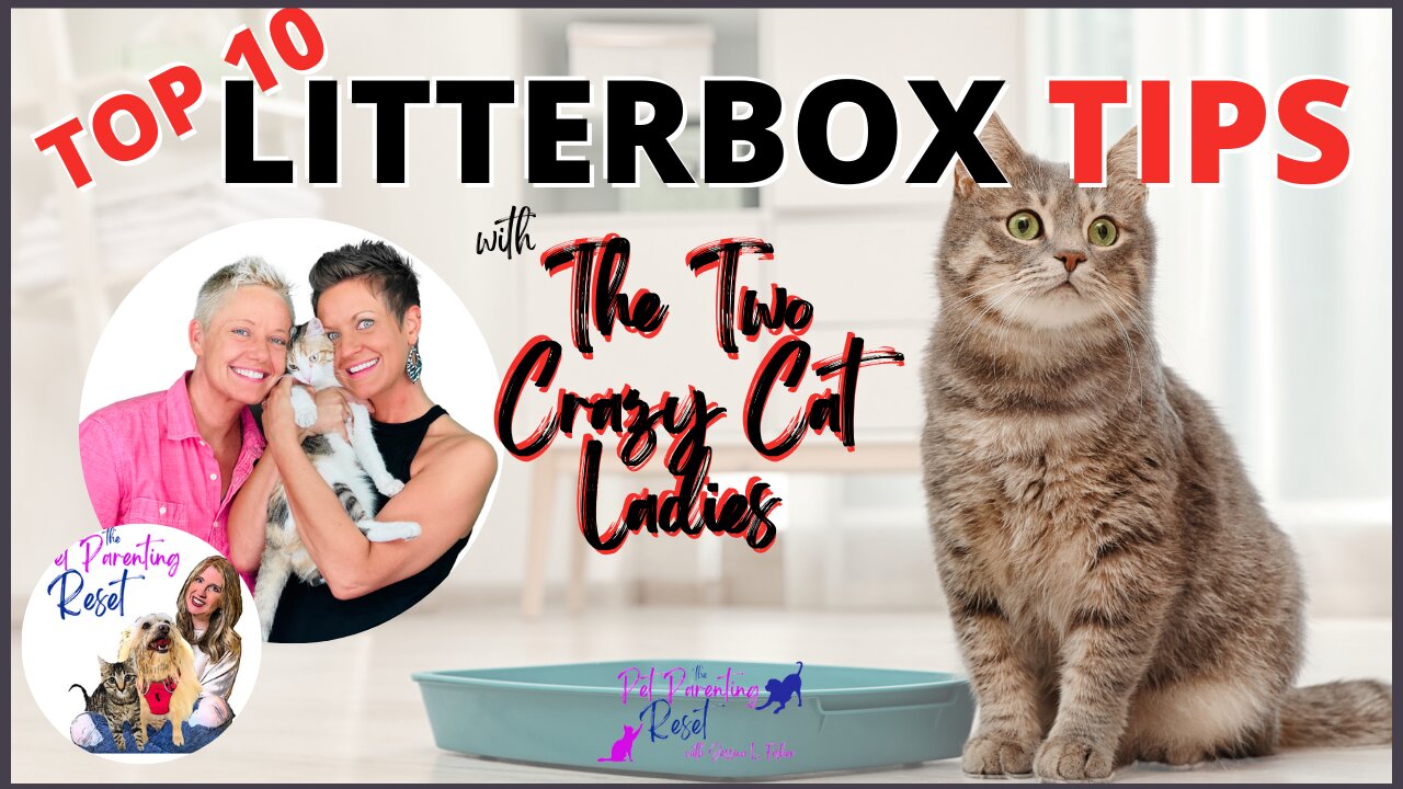 THE BEST 10 Tips & Tricks For Your Cat's Litter Box w The Two Crazy Cat Ladies | Pet Parenting Reset