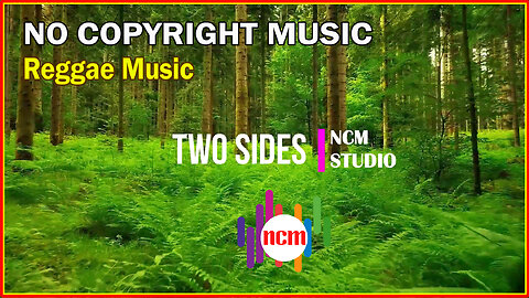 Two Sides - SefChol: Reggae Music, Happy Music, No Copyright Music @NCMstudio18 ​