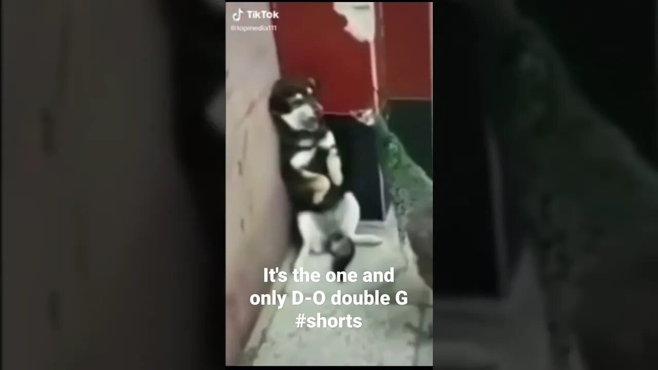 It's the one and only D-O double G #shorts