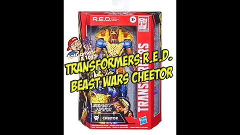 Transformers Cheetor R E D Beast Wars Review