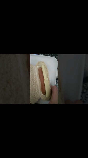 Hot Dog and Law of Attraction