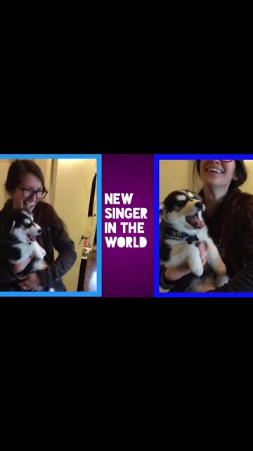 New singer | in the world | #Dog #Entertainment #fun #funny