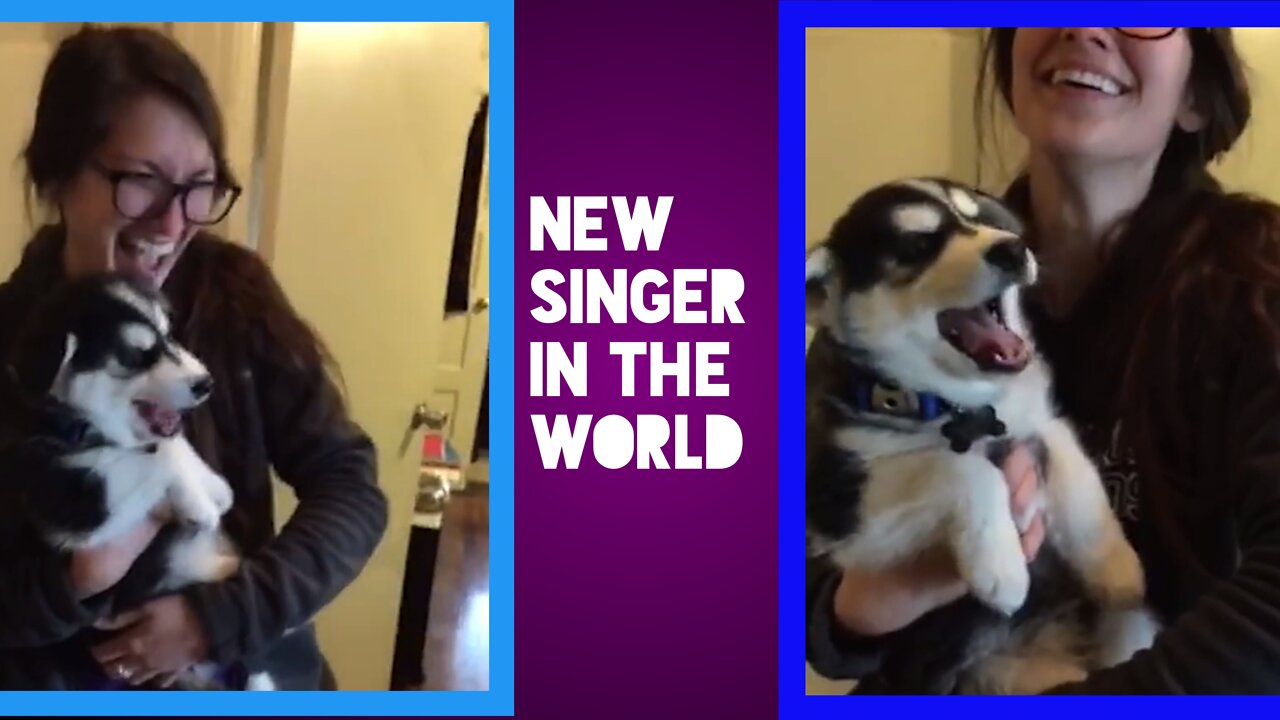 New singer | in the world | #Dog #Entertainment #fun #funny