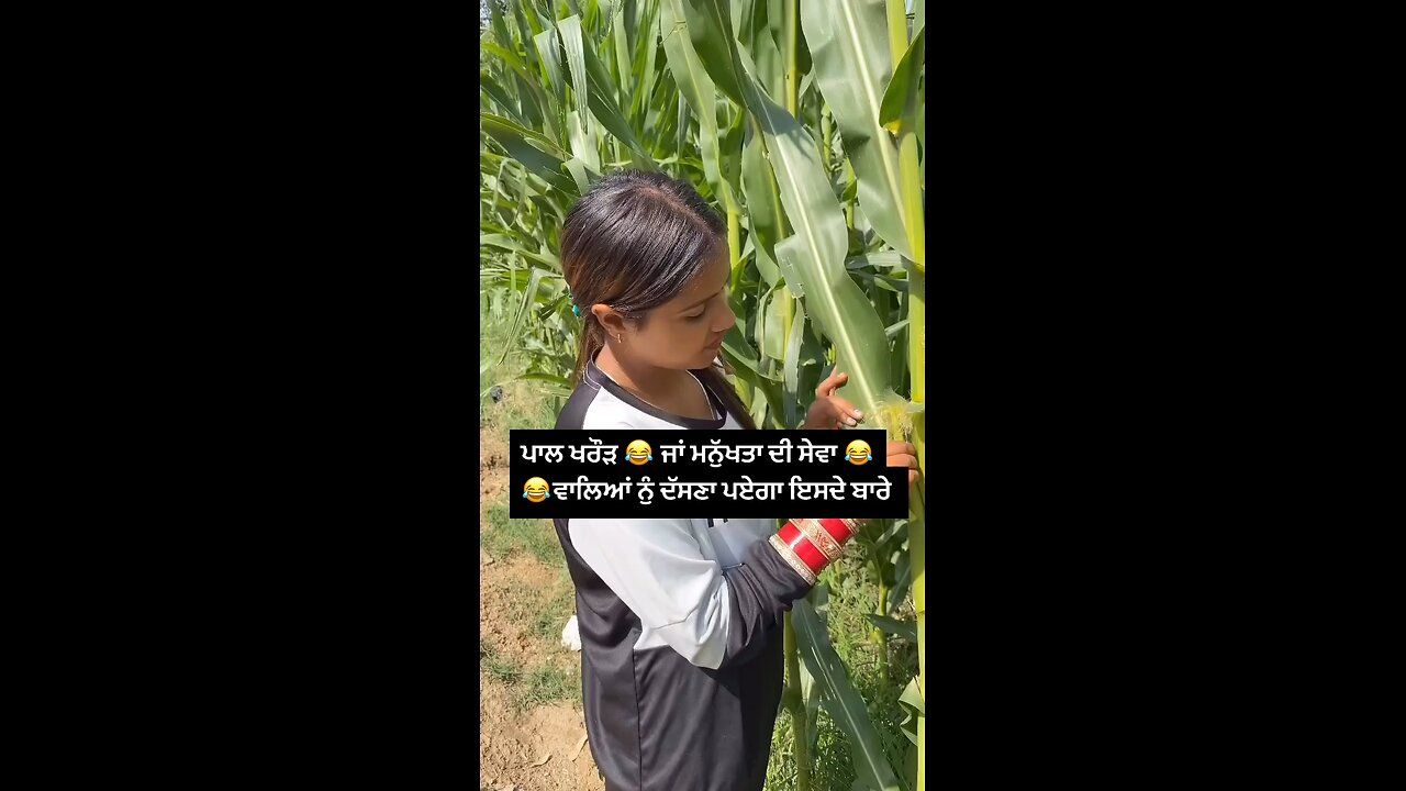 ਇਹ ਕੁੜੀ ਦੇਖਲੋ 😂