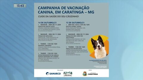 Campanha de Vacinação Canina em Caratinga