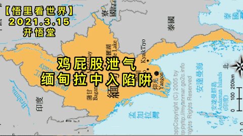 KWT1314鸡PP泄气-缅甸拉中入陷阱20210315-8【悟里看世界】