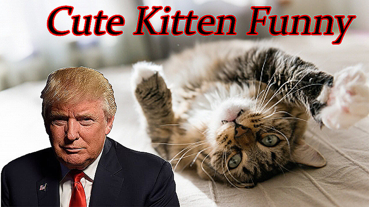 What Donald Trump have 3 Cats / Watch full video