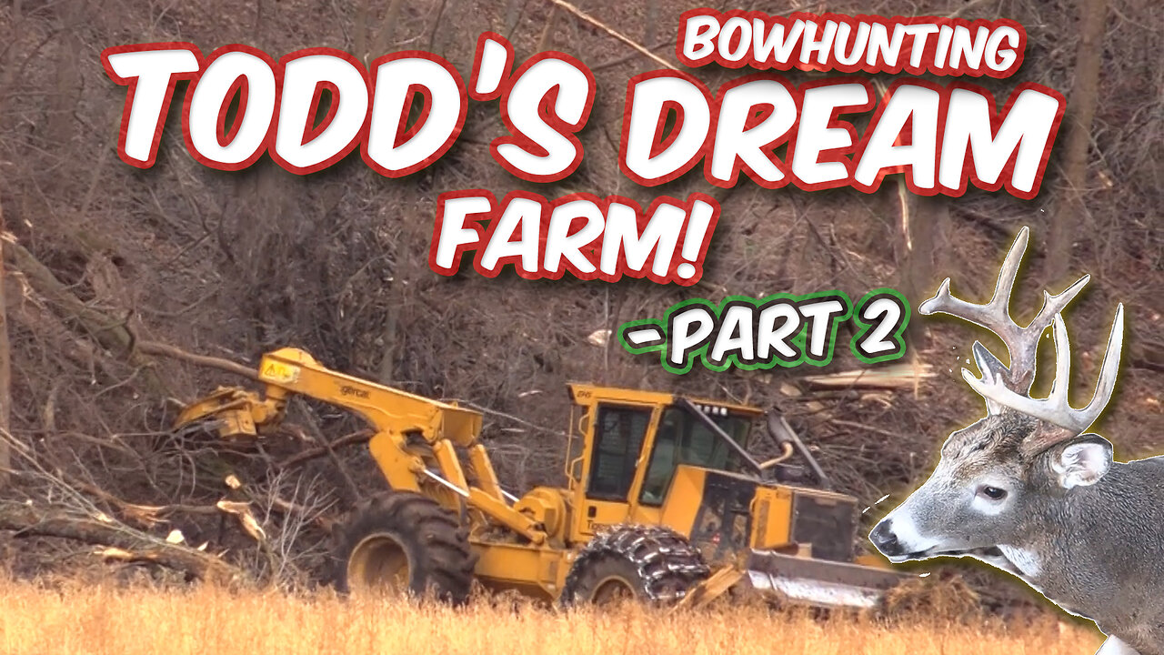 Todd's Dream Hunting Property | Part 2 - The Clear Cut!