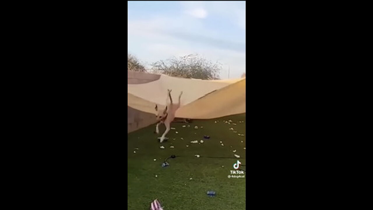 How to funny video