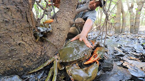 Season Dry 2020 Catch a lot Crab by Hand