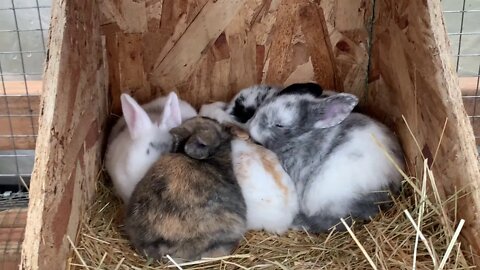 Nancy Jones always looking for a mystery to solve