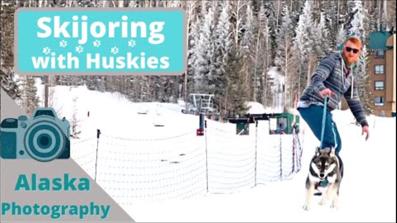 Snowboarding with Huskies | Starting a photography business in Alaska??