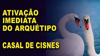 Ativação imediata arquetipo Cisnes