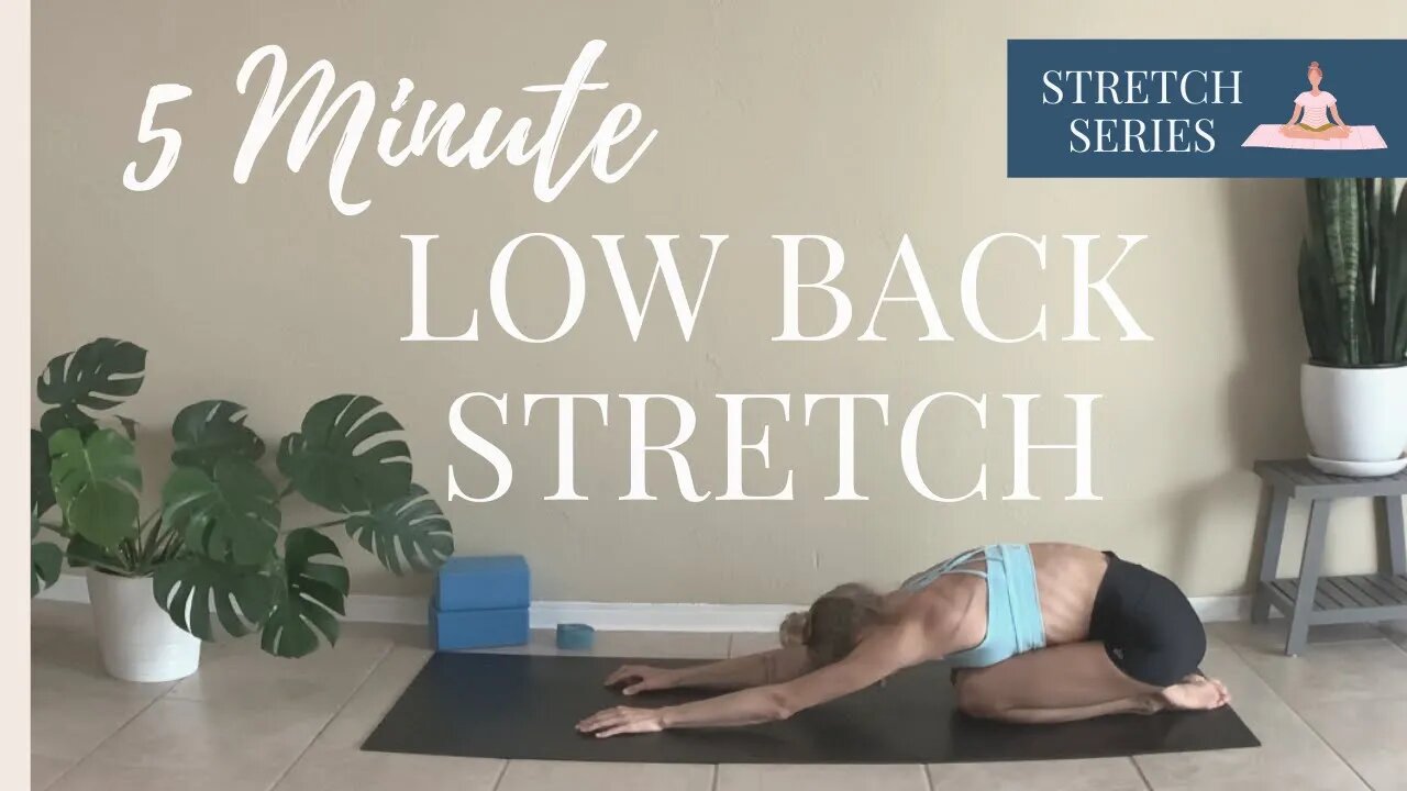 5 MIN STRETCH: LOW BACK PAIN | Nina Elise Yoga & Fitness