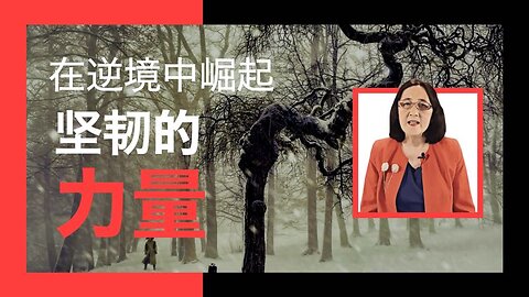 在逆境中崛起--坚韧的力量