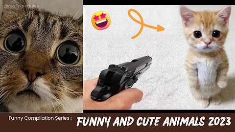 FUNNY AND CUTE ANIMALS 2023