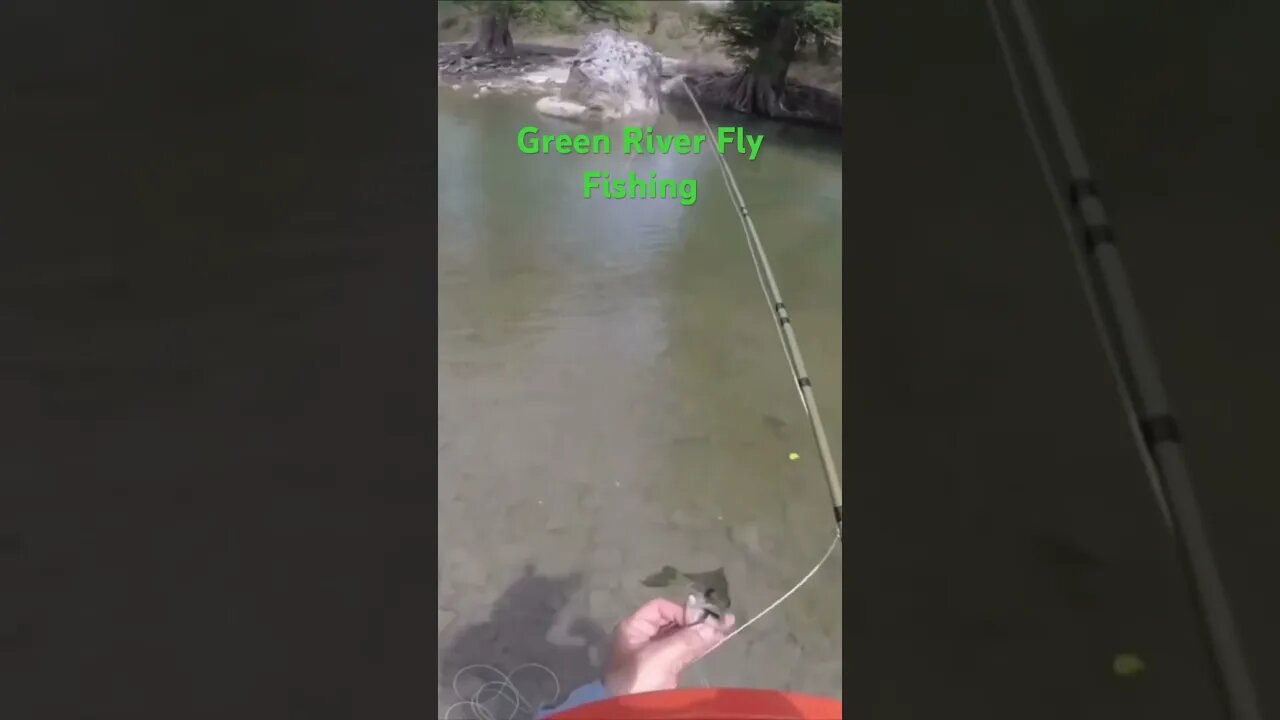 #viral #shortvideo #shorts #short #flyfishing #bass #panfish #guadalupe #river