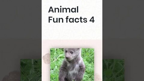 Animal Fun Facts 4, Fun Facts, #shorts.