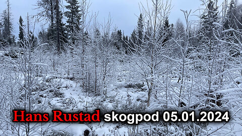 Skogpod 5. januar 2024