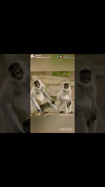 Surprise 😂😂😂