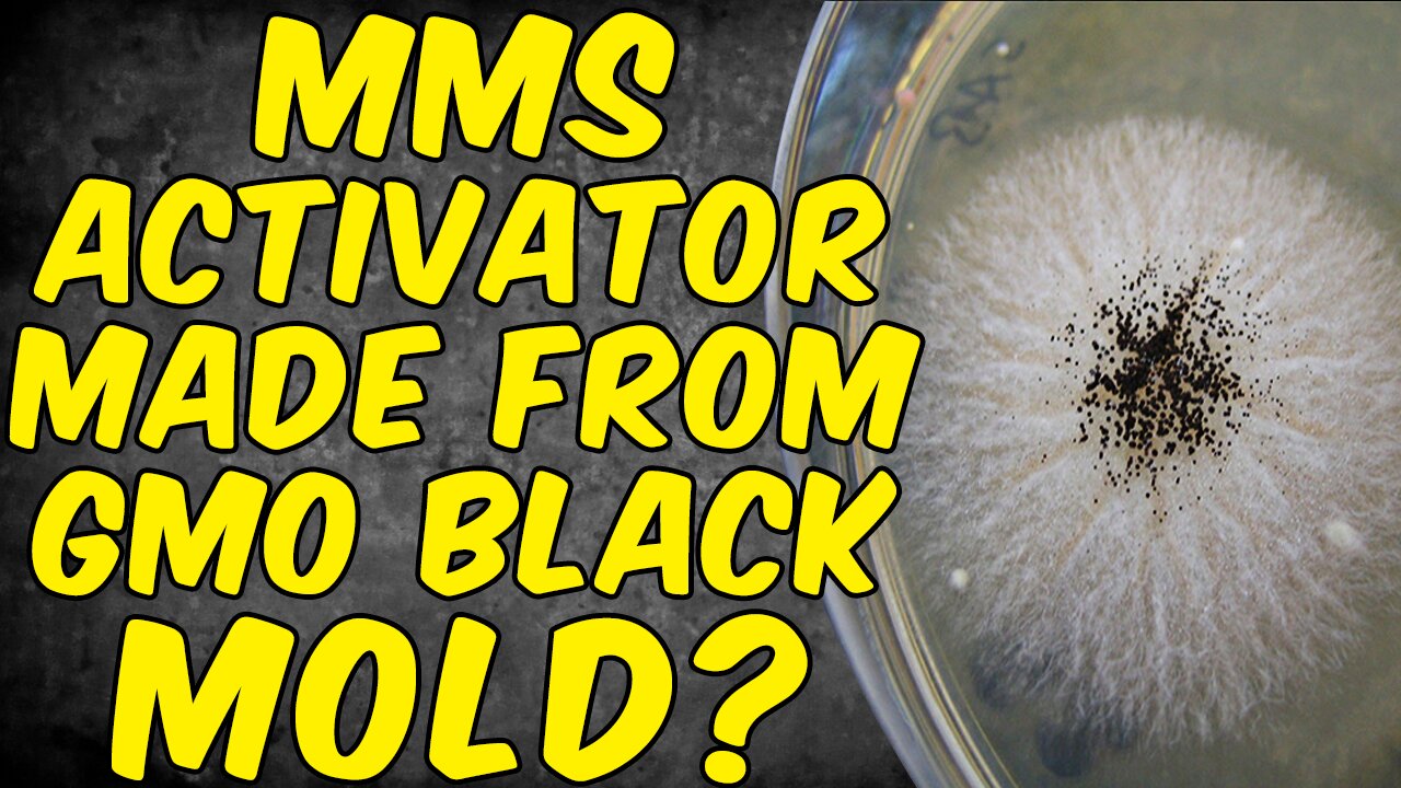 Is Your MMS (Miracle Mineral Solution) Activator Made From GMO BLACK MOLD?