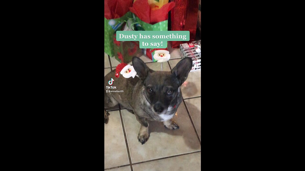 Merry Christmas from Dusty and his Mom
